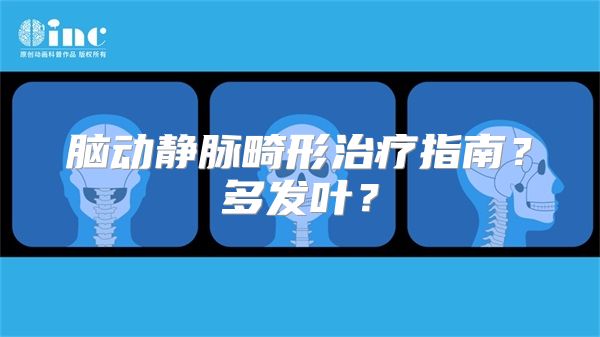 脑动静脉畸形治疗指南？多发叶？
